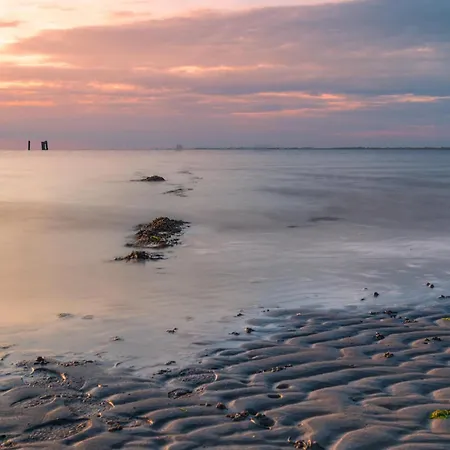 Flut アパート *